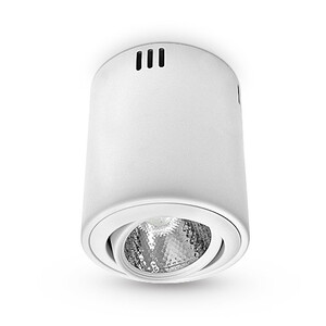 Oprawa sufitowa AVIS, 12W