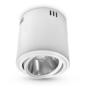 Oprawa sufitowa AVIS, 18W